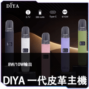 [B倉]   DIYA叮啞皮革主機